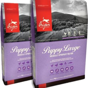 Orijen Puppy Large Breed 11,4 kg - 1 zdjęcie