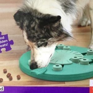 Outward Hound Dog Worker Green gra edukacyjna [69541] - 1 zdjęcie