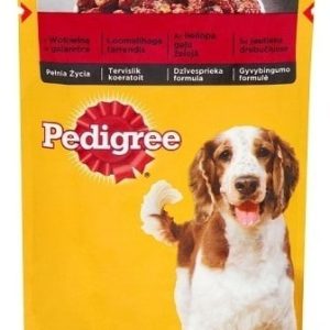 Pedigree Dorosłe Wołowina Saszetka 100g 1814 - 1 zdjęcie
