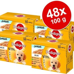Pedigree Zestaw Junior Saszetki, 24 x 100 g - w galarecie - 1 zdjęcie