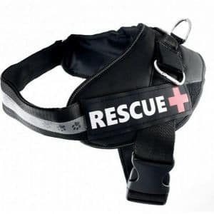 PET NOVA PET NOVA Szelki Rescue czarne XL 75-105cm - 1 zdjęcie