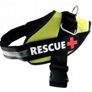PET NOVA PET NOVA Szelki Rescue zielone XS 30-40cm - 1 zdjęcie
