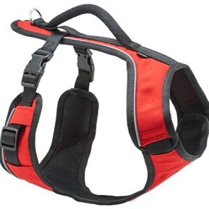 PetSafe Easy Sport uprząż dla psa, dodatkowy komfort noszenia, odblaski, uchwyt do naczyń, mały, czerwony - 1 zdjęcie