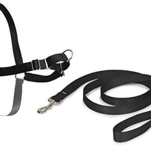 PetSafe Naczynia do Easy Walk -, small, czarny i szary - 1 zdjęcie