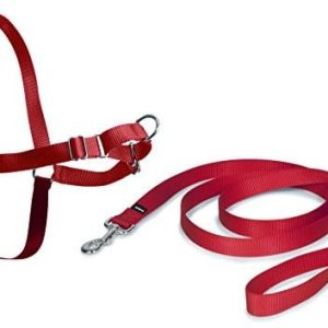 PetSafe Naczynia do petsafe Easy Walk -, x-small, czerwony - 1 zdjęcie
