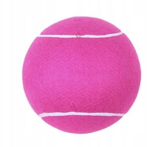 Piłka Tenisowa Duża Dla Psa Ogromna Żółta 24 cm - 1 zdjęcie