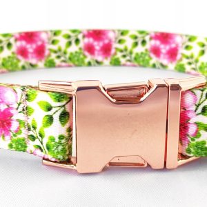 Piękna Mocna obroża drapula 40-60cm M/L Spring - 1 zdjęcie