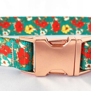 Piękna Mocna obroża drapula 40-60cm M/L Vintage - 1 zdjęcie