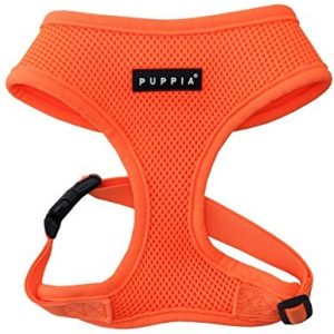 Puppia puppia część-ojciec ac1325 naczynia, Neon Soft, L, pomarańczowy - 1 zdjęcie