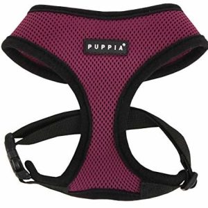 Puppia Soft uprząż dla psa, purple, xl, liliowy PDCF-AC30-PU-XL - 1 zdjęcie