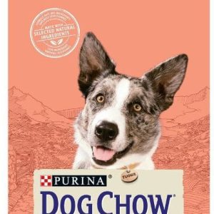 Purina Adult Active 14 kg  - 1 zdjęcie
