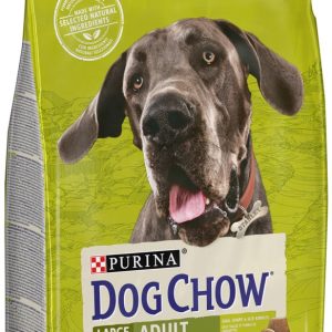 Purina Dog Chow Adult Large Breed Turkey 2,5 kg - 1 zdjęcie
