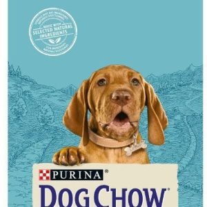 Purina Dog Chow Puppy Chicken 28 kg - 1 zdjęcie