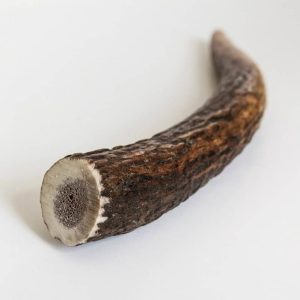 Recovet Antler dog chew/ gryzak z poroża jelenia L - 1 zdjęcie