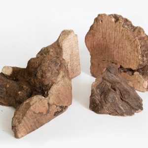 Recovet Korzeń hiszpańskiego drzewa wrzosowego XL - 1 zdjęcie