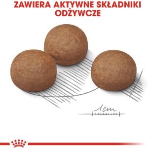 Royal Canin CCN Maxi Digestive Care 10 kg - 1 zdjęcie