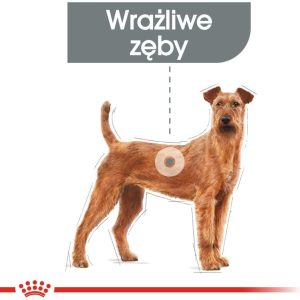 Royal Canin CCN Medium Dental Care 1 kg - 1 zdjęcie