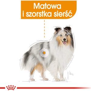 Royal Canin CCN Mini Coat Care 1 kg - 1 zdjęcie