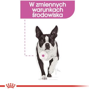 Royal Canin CCN Mini Relax Care 3 kg - 1 zdjęcie
