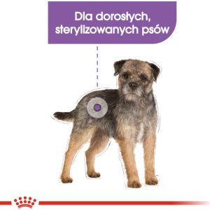 Royal Canin CCN Mini Sterilised 1 kg - 1 zdjęcie
