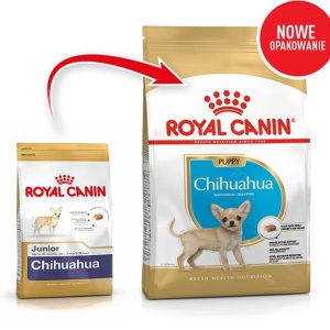 Royal Canin Chihuahua Junior 1,5 kg - 1 zdjęcie