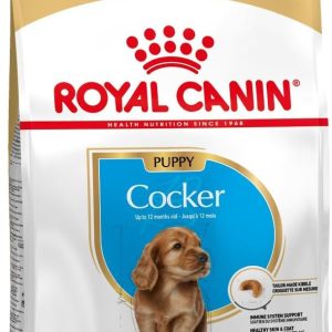 Royal Canin Cocker Adult 3 kg - 1 zdjęcie