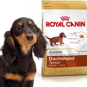 Royal Canin Dachshund Junior 1,5 kg - 1 zdjęcie