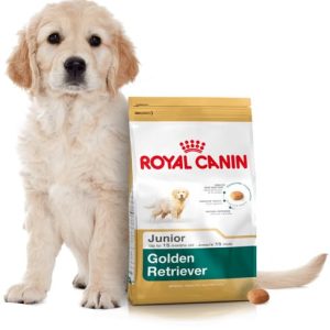 Royal Canin Golden Retriever Junior 3 kg - 1 zdjęcie