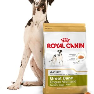Royal Canin Great Dane 12 kg - 1 zdjęcie