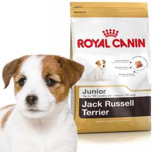 Royal Canin Jack Russel Junior 3 kg - 1 zdjęcie