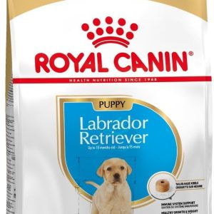 Royal Canin Labrador Retriever Junior 3 kg - 1 zdjęcie