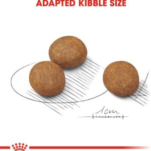 Royal Canin Maxi Junior 4 kg - 1 zdjęcie