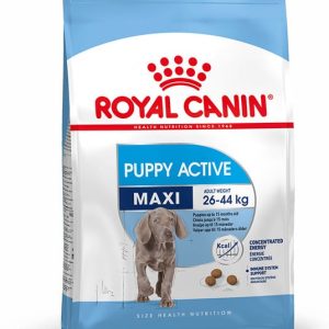 Royal Canin Maxi Puppy Active 15 kg - 1 zdjęcie
