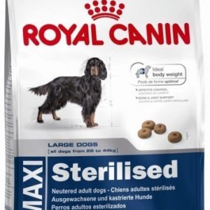 Royal Canin Maxi Sterilised 12 kg - 1 zdjęcie