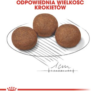 Royal Canin Medium Puppy 4 kg - 1 zdjęcie