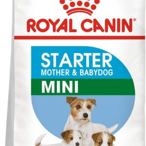 Royal Canin Mini Starter Mother&Babydog 1 kg - 1 zdjęcie