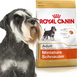 Royal Canin Miniature Schnauzer Adult 3 kg - 1 zdjęcie