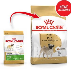 Royal Canin Pug Adult 1,5 kg - 1 zdjęcie