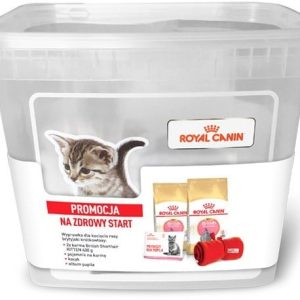 Royal Canin ROYAL CANIN British Shorthair Kitten 2x400g WYPRAWKA | DARMOWA DOSTAWA OD 99 ZŁ 201230 - 1 zdjęcie