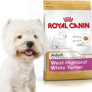 Royal Canin West Highland White Terrier Adult 1,5 kg - 1 zdjęcie