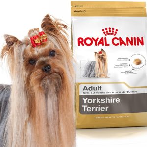 Royal Canin Yorkshire Terrier Adult 1,5 kg - 1 zdjęcie