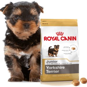 Royal Canin Yorkshire Terrier Junior 7,5 kg - 1 zdjęcie