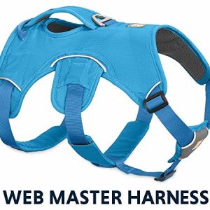 Ruffwear Ruf fwear 30102  407 m Web Master psów, naczyń, M, Baja Blue - 1 zdjęcie
