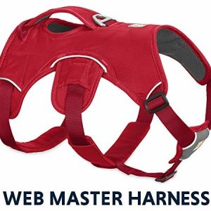 Ruffwear Ruf fwear 30102  615s1 Web Master psów, naczyń, XS, Red currant - 1 zdjęcie