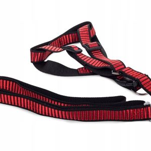 Smycz Z Szelkami Szelki Dla Psa Kota Mocna 2,5cm - 1 zdjęcie