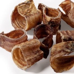 Suszone TRACHEA (KRTANIE) - 1 zdjęcie