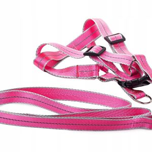Szelki Dla Psa Kota + Smycz Odblaskowa Mocna 2,5cm - 1 zdjęcie