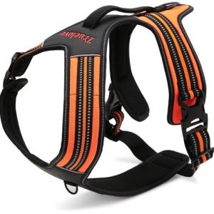 Szelki dla psa Security Easy Walk Mantrailing XL - 1 zdjęcie