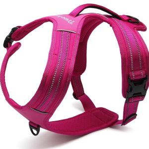 Szelki dla psa Security Easy Walk Tropienie róż M - 1 zdjęcie