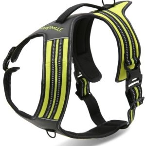 Szelki dla psa Security Easy Walk Tropienie XL - 1 zdjęcie